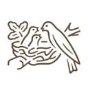 certificate icon
